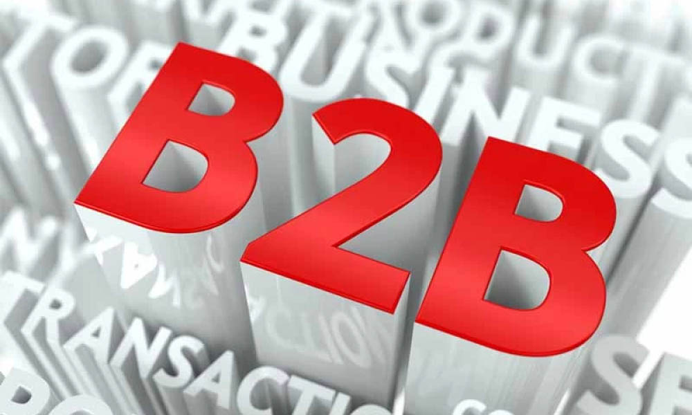 b2b marketplace business model