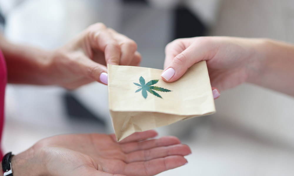 how to start a cannabis delivery business